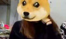 狗头视频,萌宠表情包的欢乐盛宴