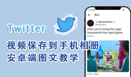 推特怎么下载视频,轻松下载推特视频教程